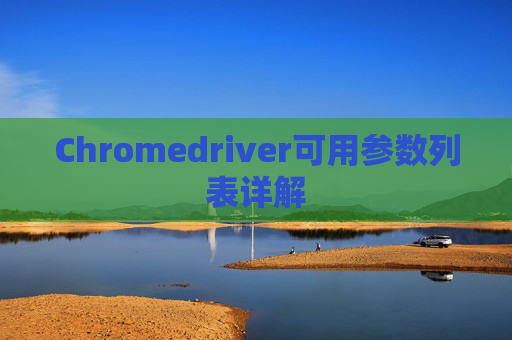 Chromedriver可用参数列表详解